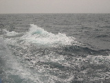 DSCN0372.jpg