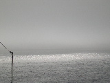 DSCN0378.jpg