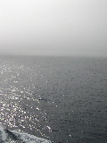 DSCN0379.jpg