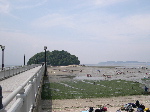 DSCN0197.jpg