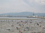 DSCN0201.jpg