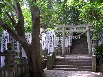 DSCN0203.jpg