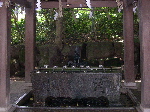 DSCN0204.jpg