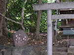 DSCN0207.jpg