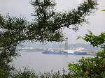 DSCN0213.jpg