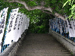 DSCN0145.jpg