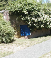 Dark blue flag on corner of rose garden wall.