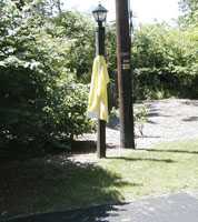 Yellow flag on lamp post along road.
