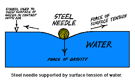 water cohesion diagram