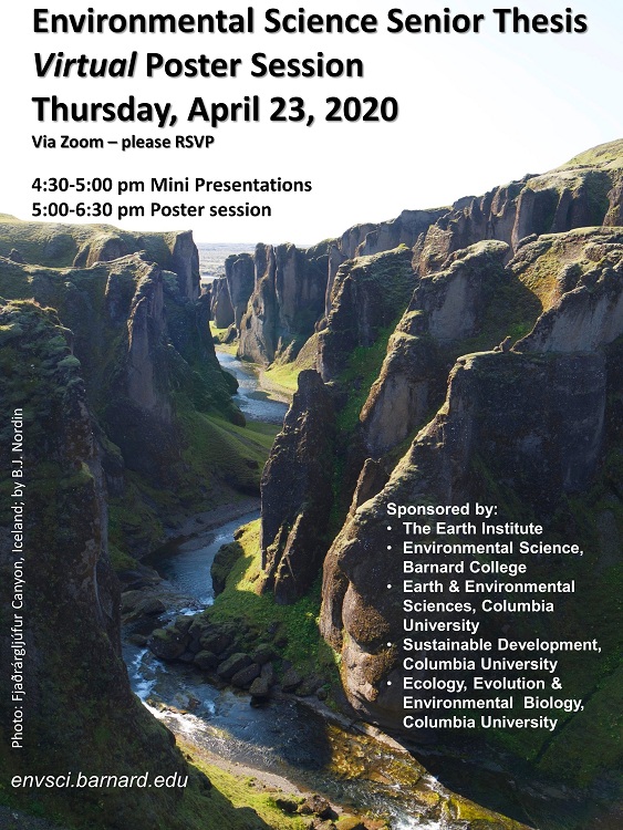 Poster session
        announcement 2020