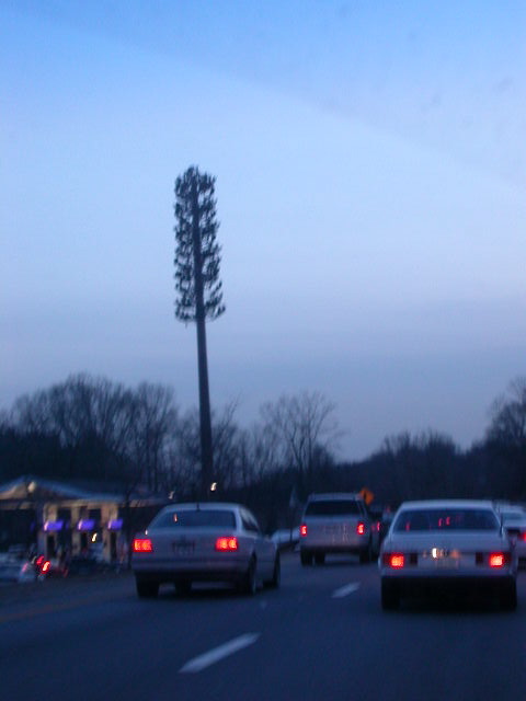dscn1321.jpg