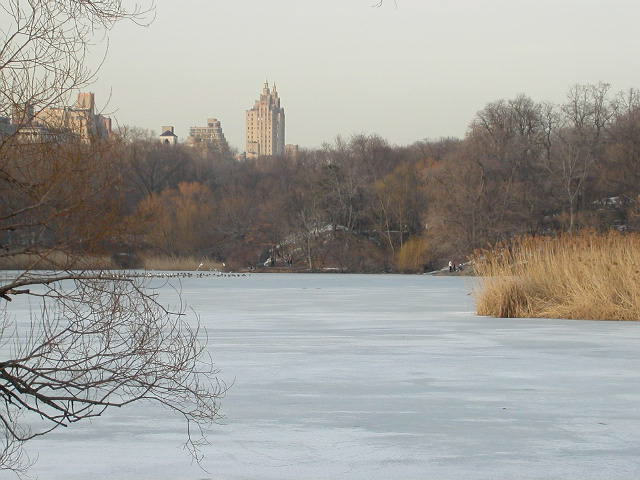 dscn1328.jpg