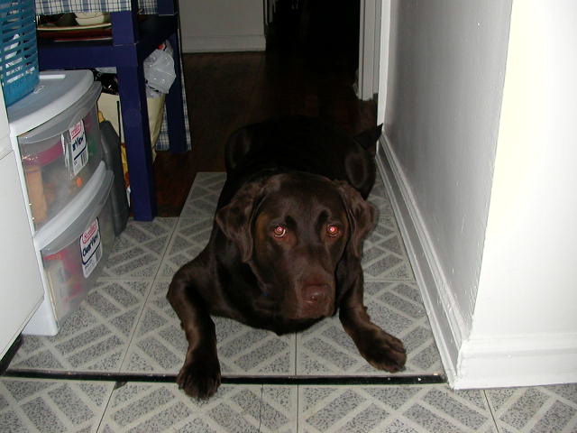 dscn1359.jpg