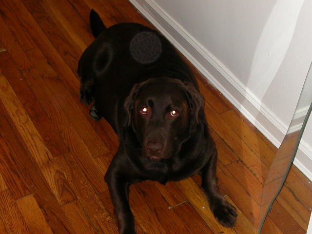 dscn1360.jpg