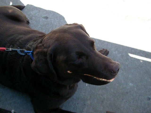 dscn1363.jpg