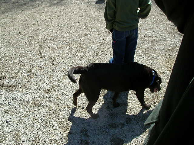 dscn1365.jpg