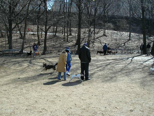 dscn1366.jpg