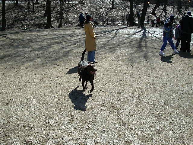 dscn1367.jpg