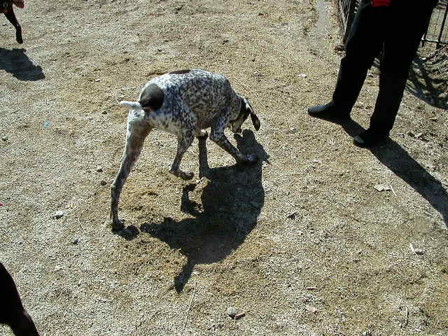 dscn1370.jpg