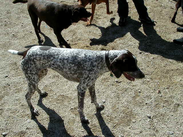 dscn1372.jpg