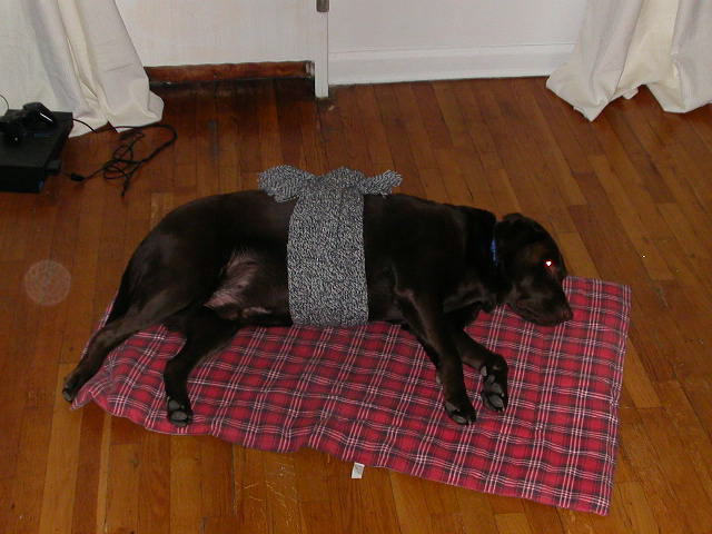 dscn1374.jpg