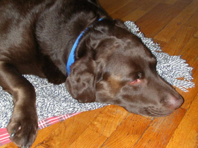 dscn1381.jpg