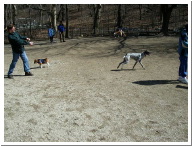 DSCN1369.JPG