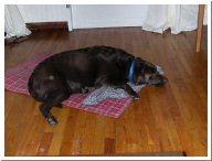 DSCN1379.JPG
