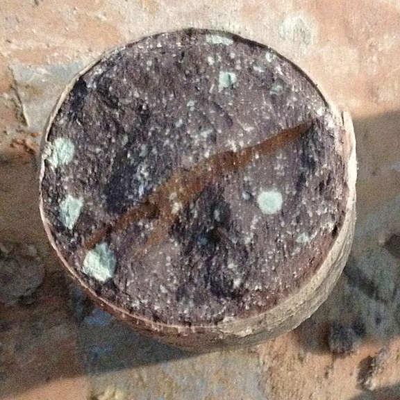 reddish speckled mudstones