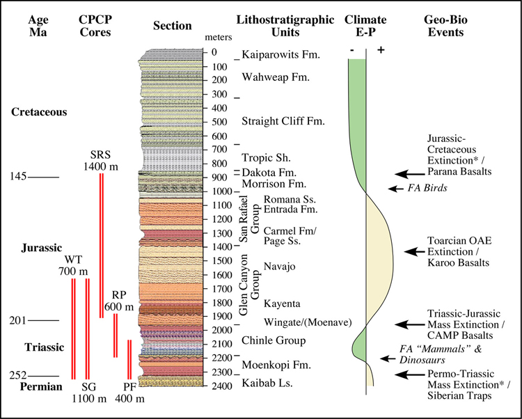 CPCP Section