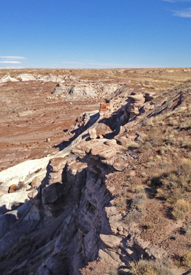 type Jasper Forest