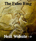 The Paleo Ring's NextWebsite