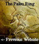 The Paleo Ring's PreviousWebsite