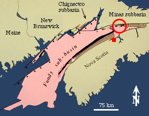 File:Wpdms shdrlfi020l bay of fundy.jpg - Wikipedia