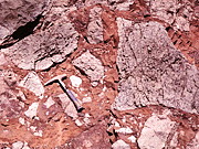 FOSSIL