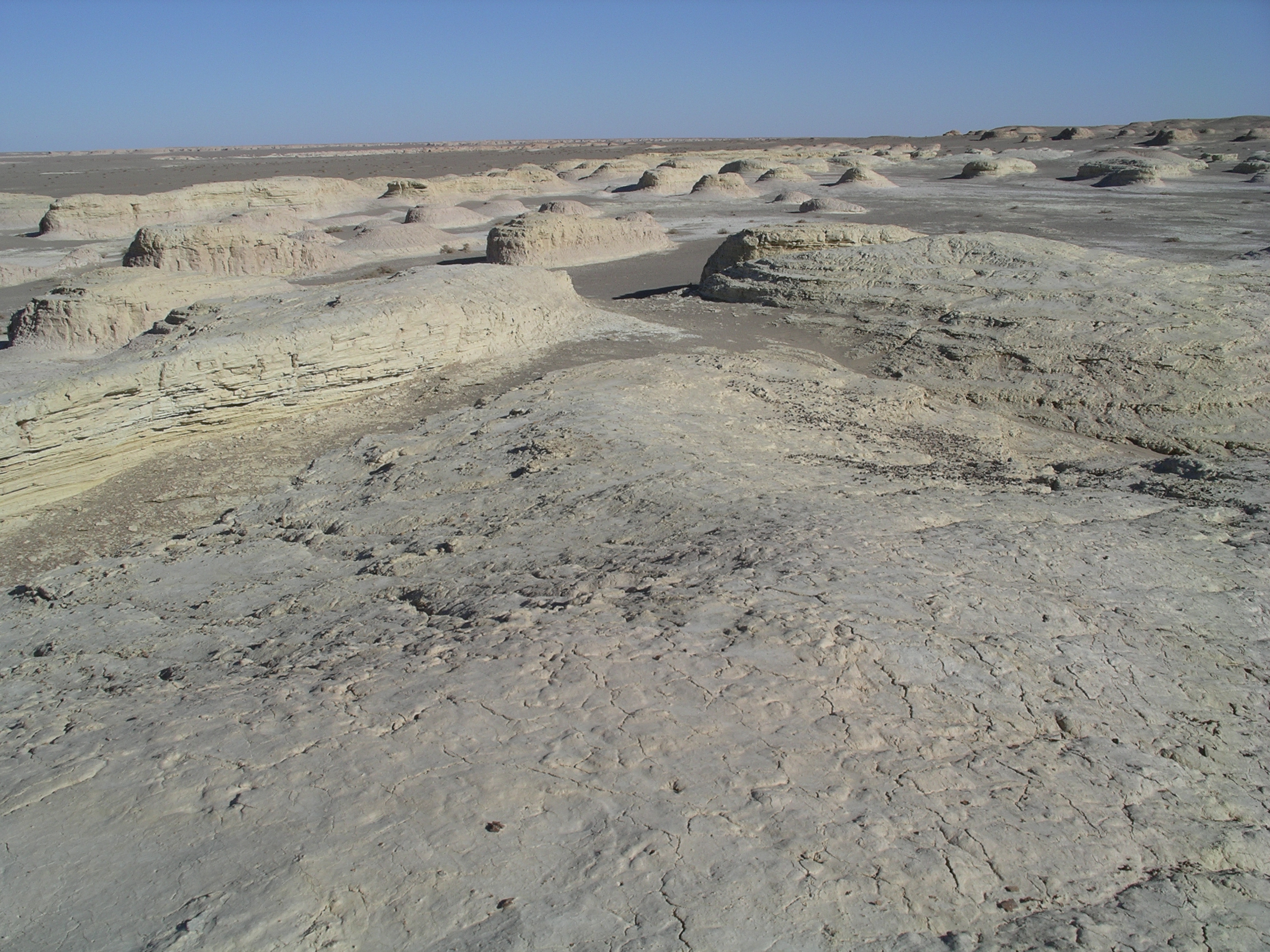 S20_051029_031136