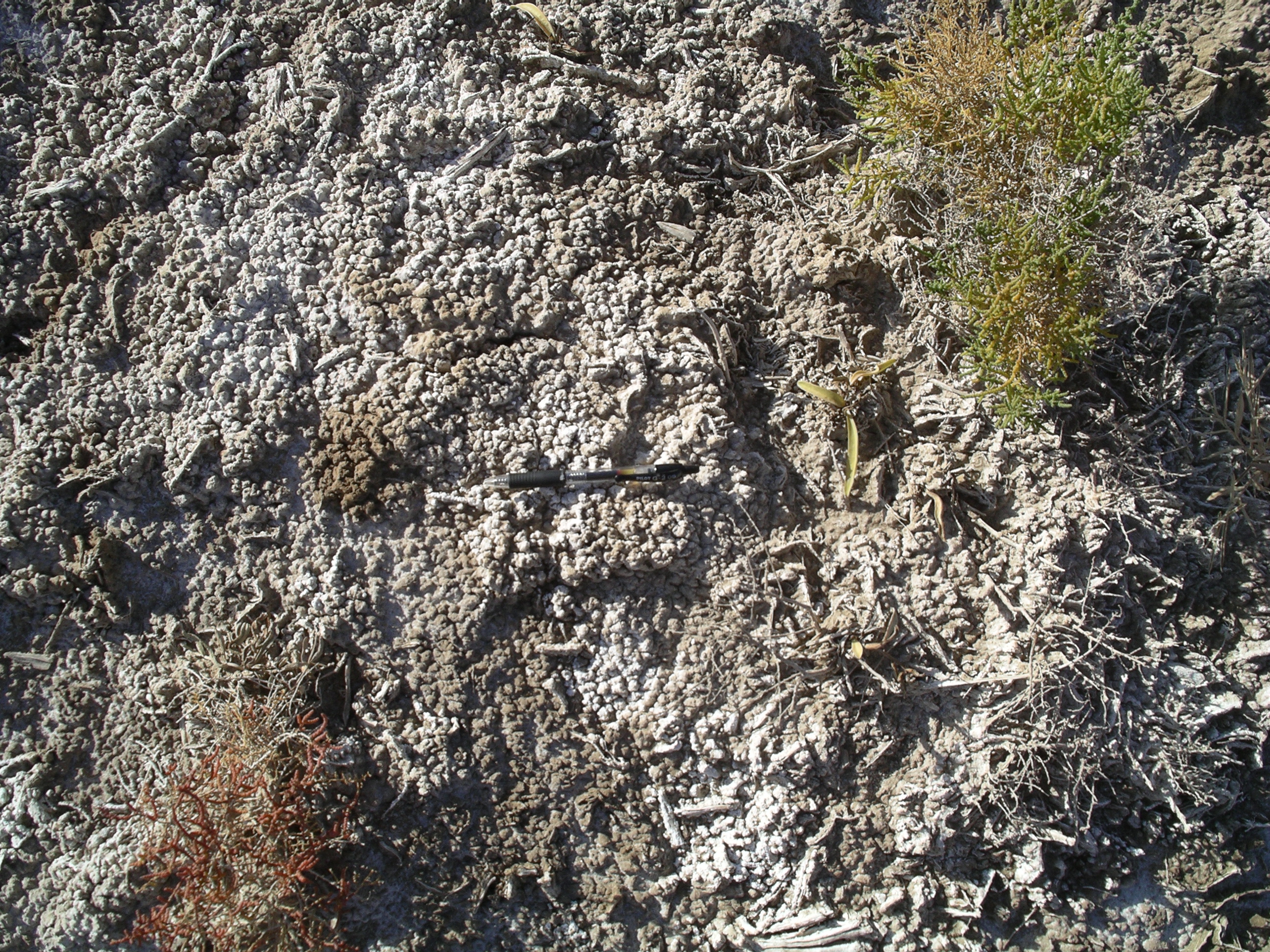 S27_051031_214241cp2