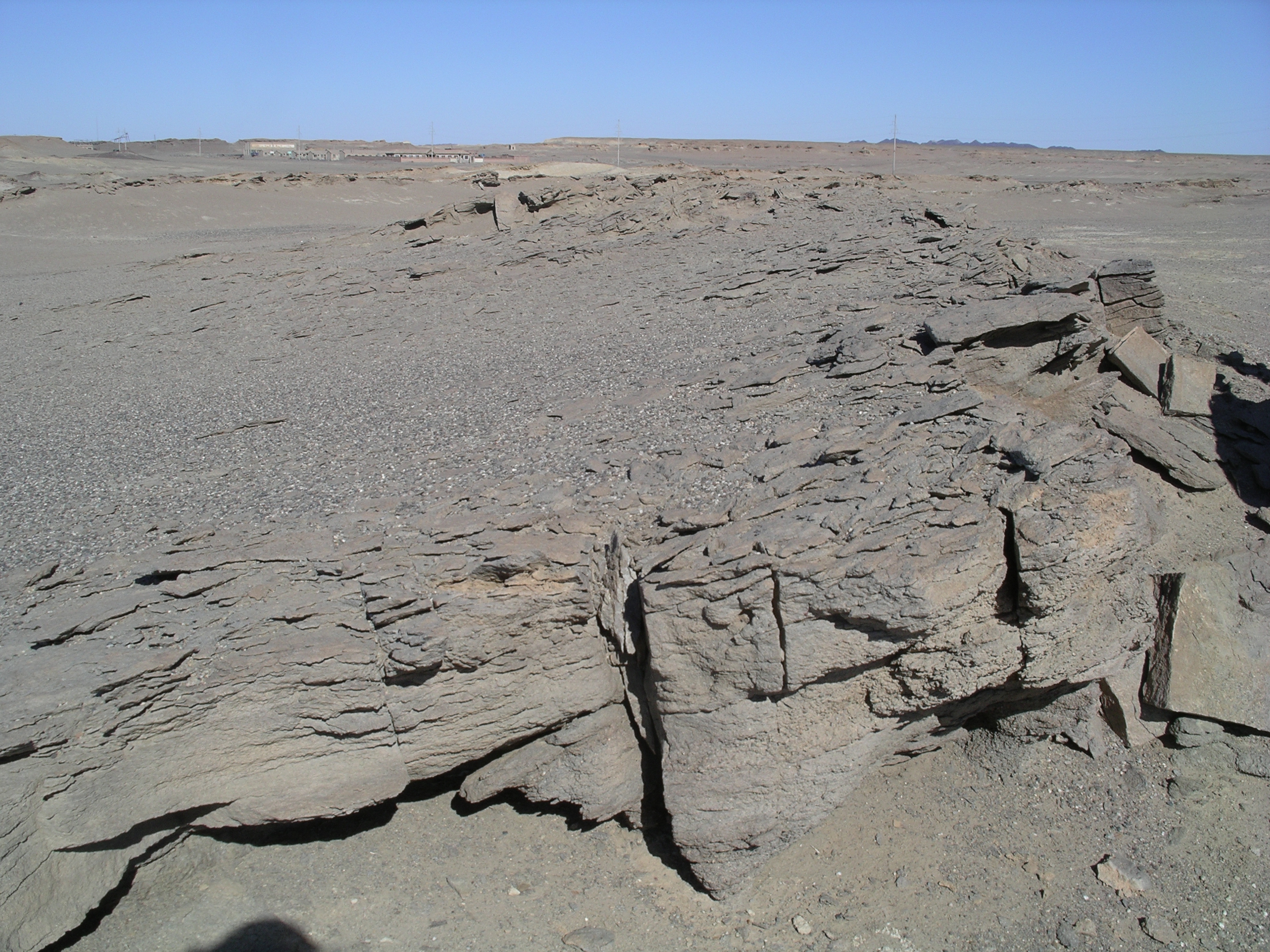 S37_051029_012156