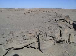 S37_051029_012156