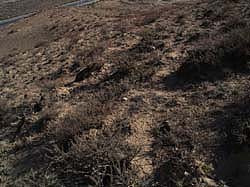 z051025_001357