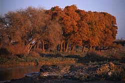 051027_0439