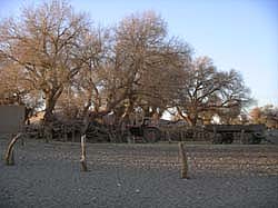 051028_052808