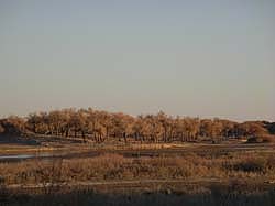 051029_053930