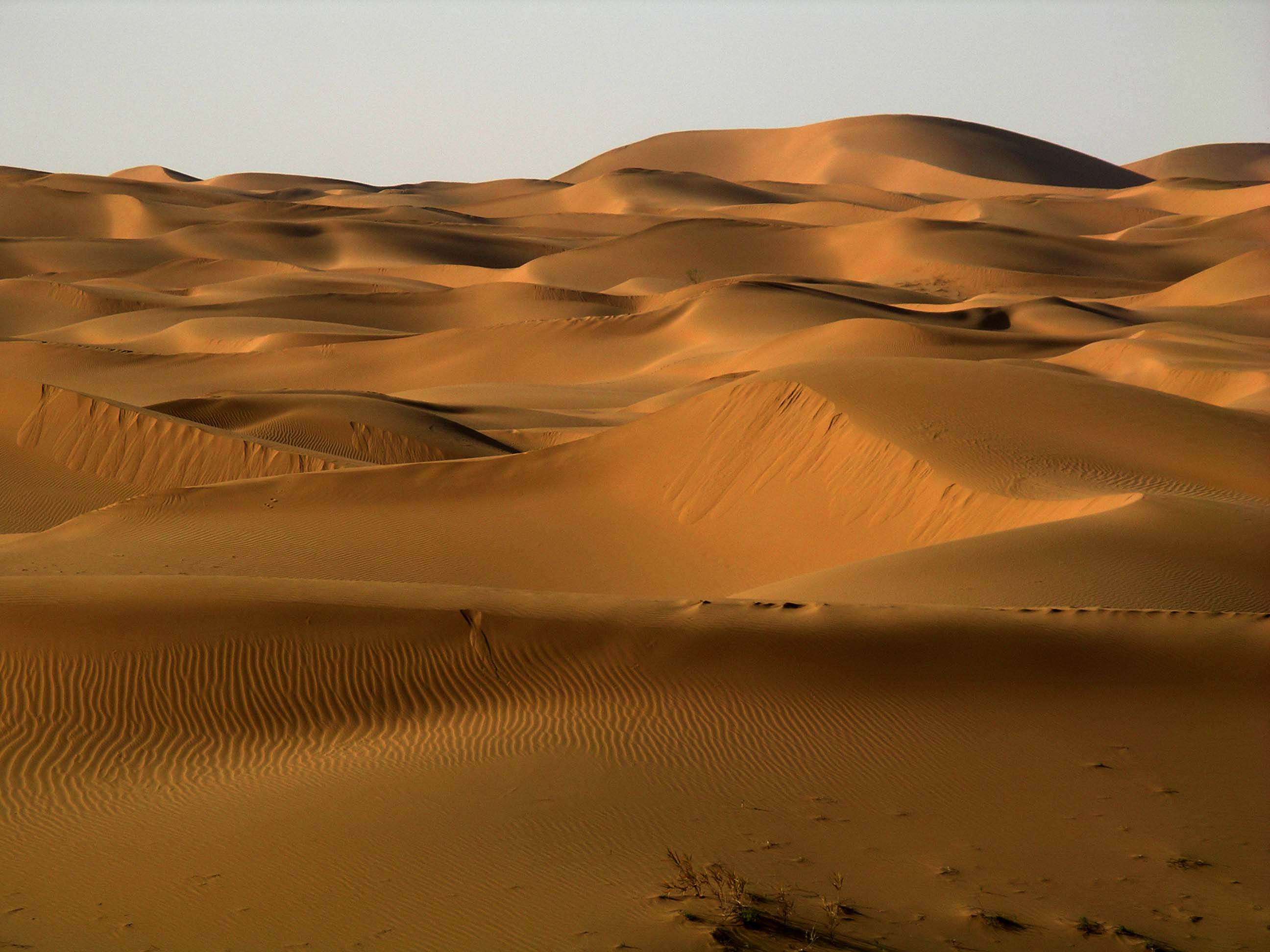 Какие климатические условия в пустыне. Пейзаж пустыни Кызылкум. Пустыня Меданос-де-коро. Климат пустынь России. Климат в пустыне.