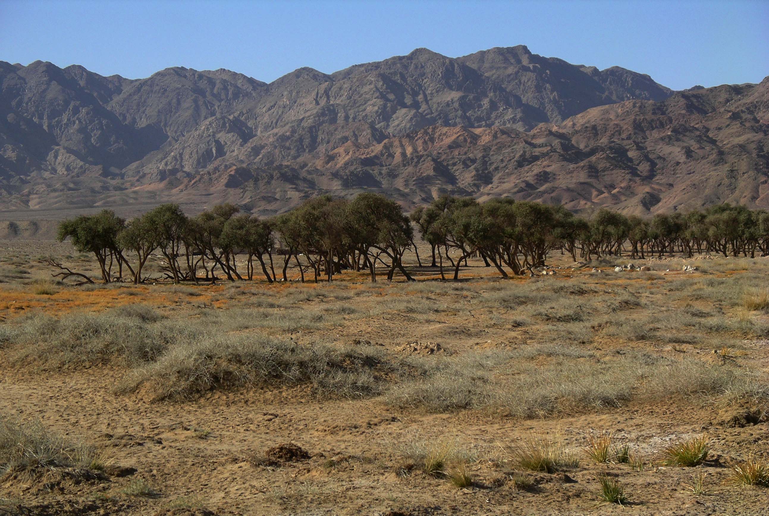 CH086_IMGP6075