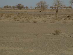 CH059_IMGP5758