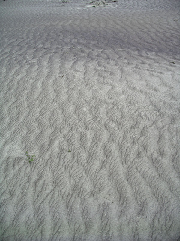 050128_054751