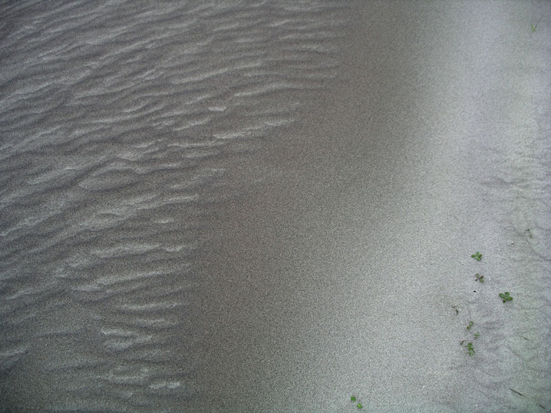 050128_055102