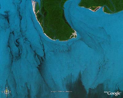 SundarbansSouth1ge