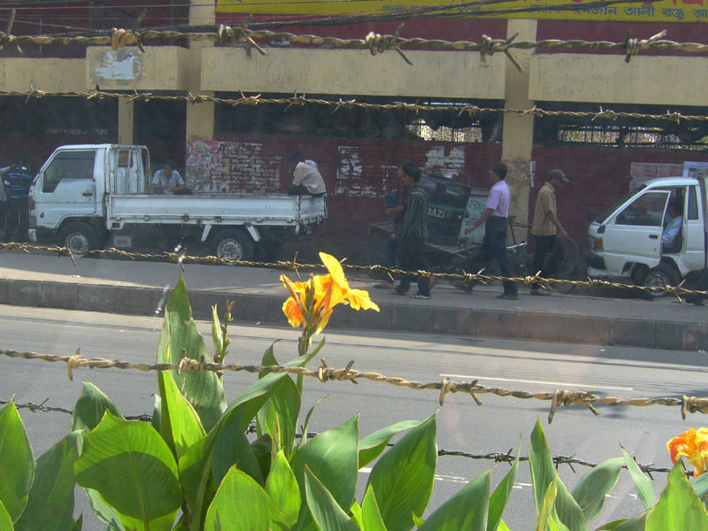 01t_P1000773